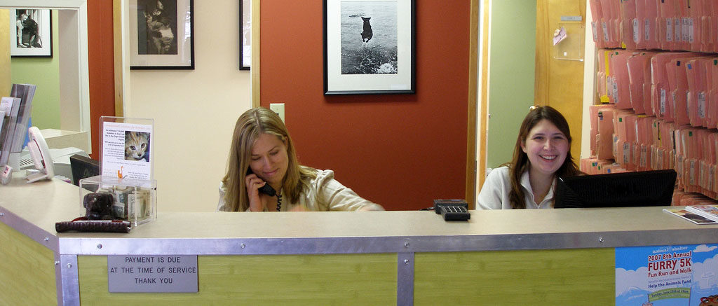 walk in customer service
