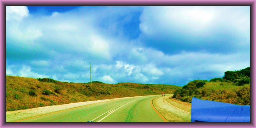 leader characteristics