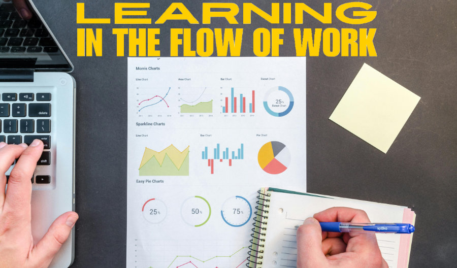 Learning in the Flow of Work